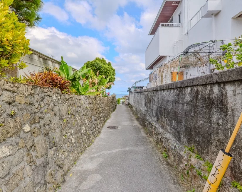 海が見えるスージ2