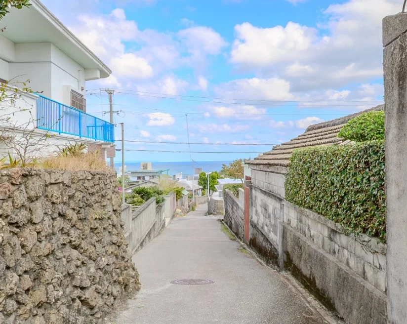 海が見えるスージ4